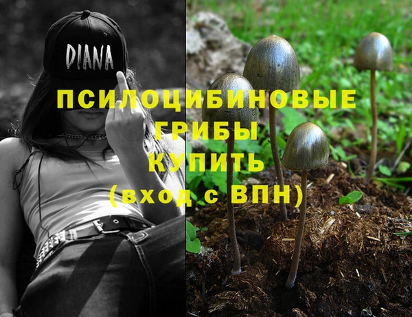 эйфоретик Армянск