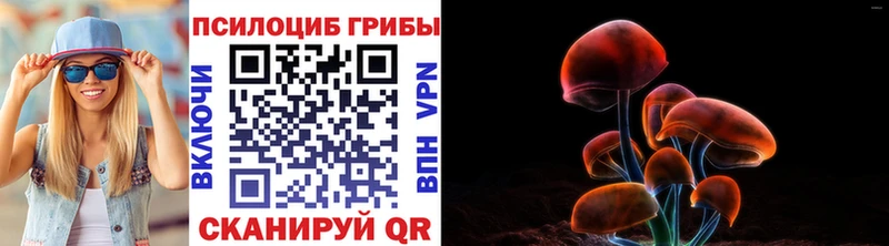 Псилоцибиновые грибы мицелий хочу наркоту Унеча